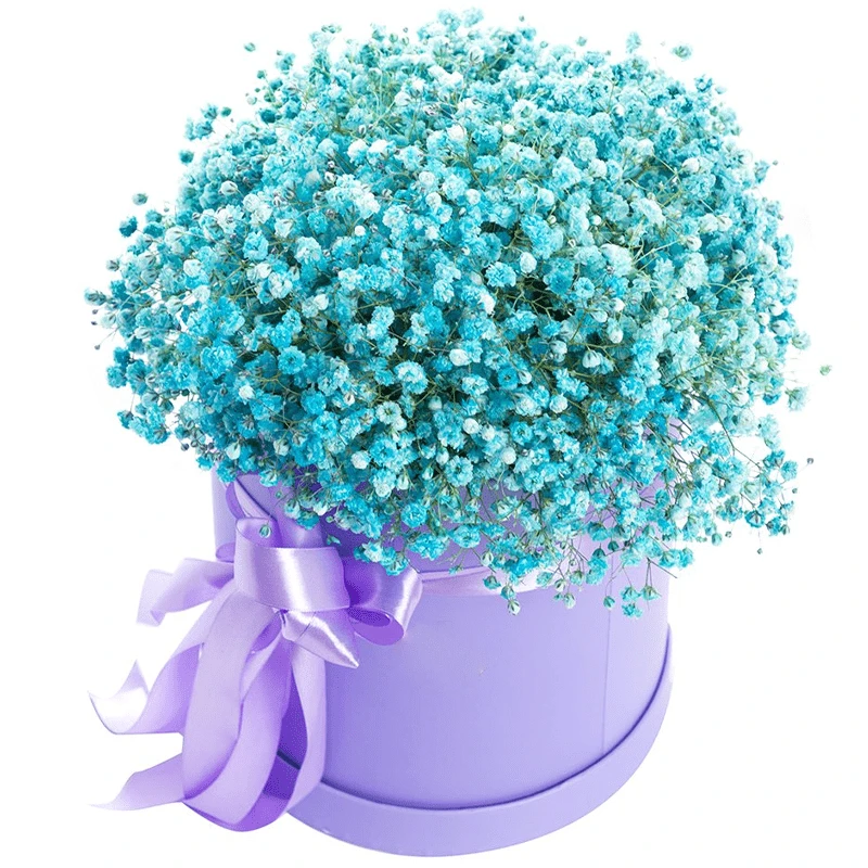 Цветы в Коробке с гипсофилами