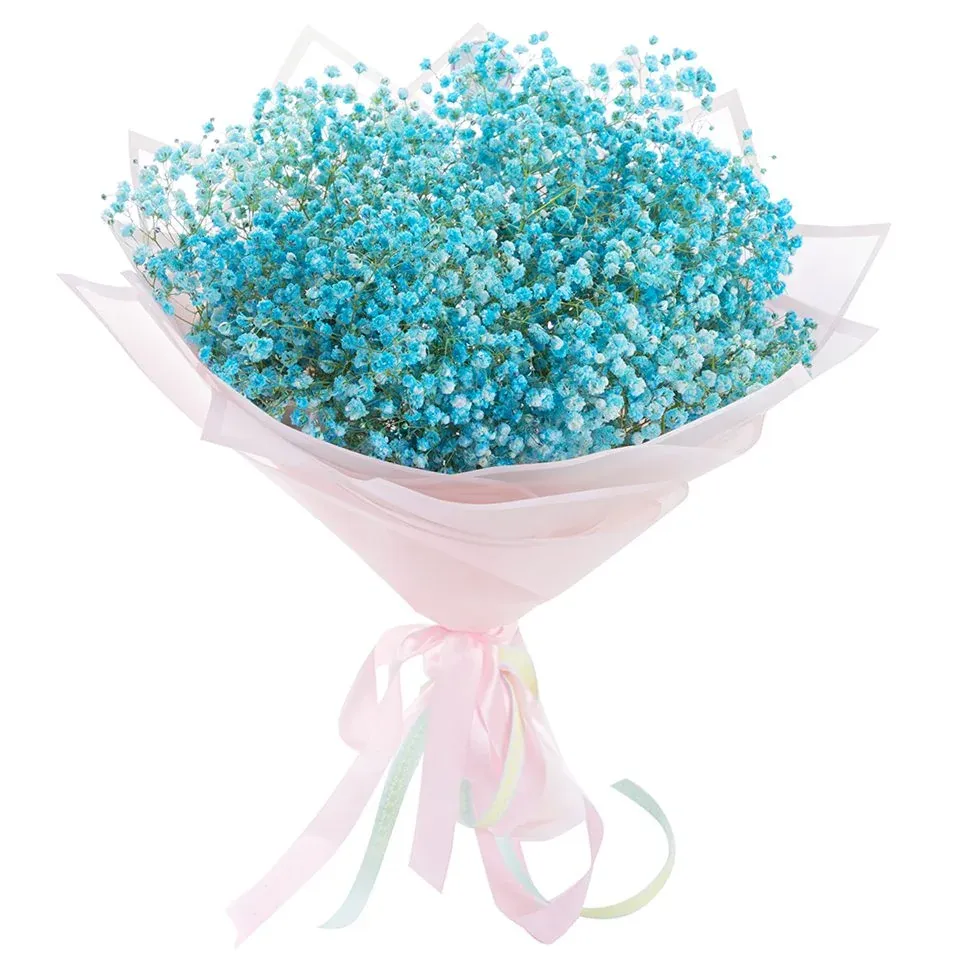 Гипсофила голубая